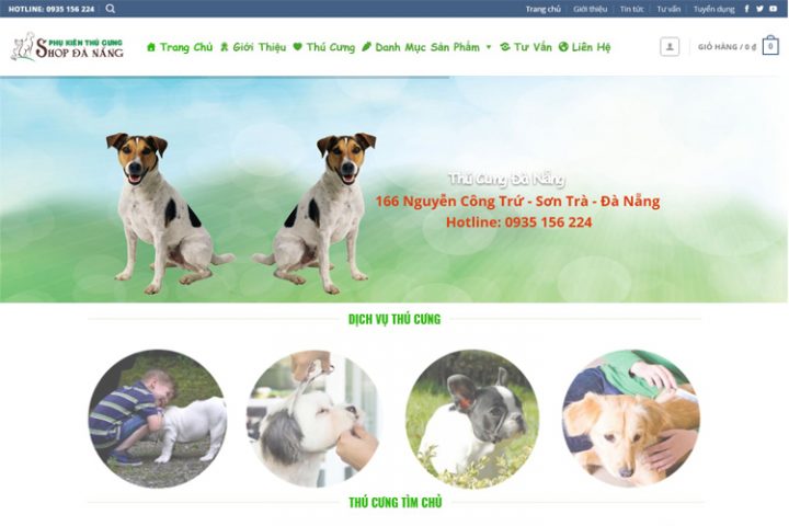 Shop Chó Mèo Đà Nẵng